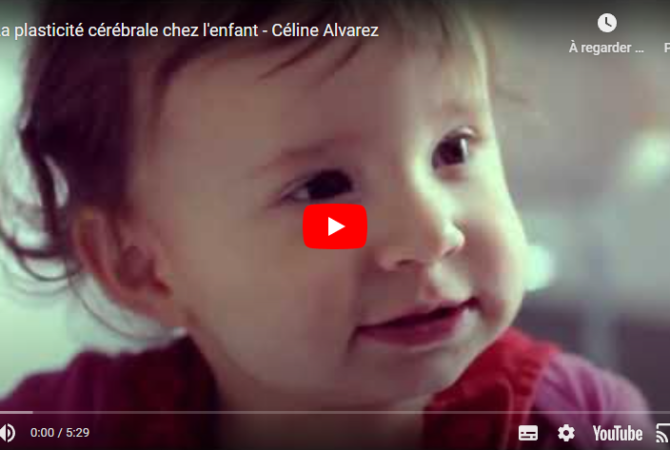 plasticite-cerebrale-ergotherapie